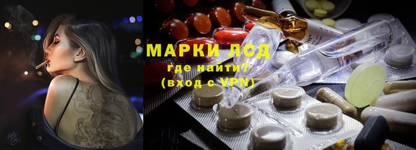 индика Костерёво