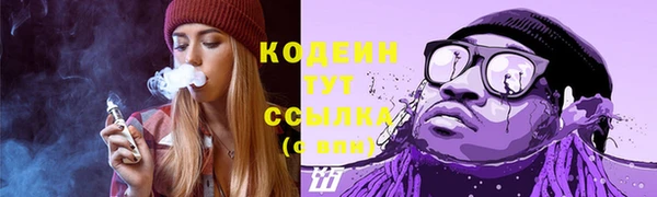 крисы Корсаков