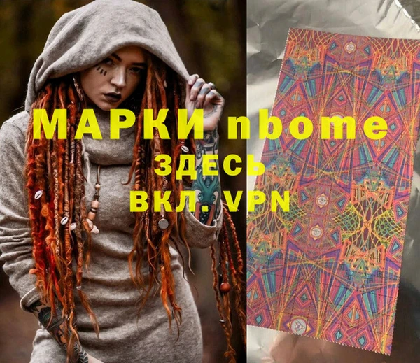 крисы Корсаков