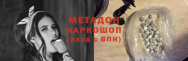 индика Костерёво