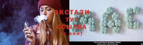 крисы Корсаков