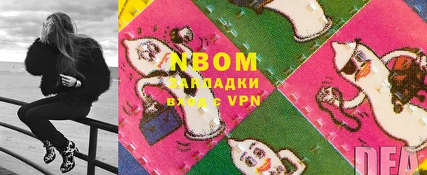 крисы Корсаков