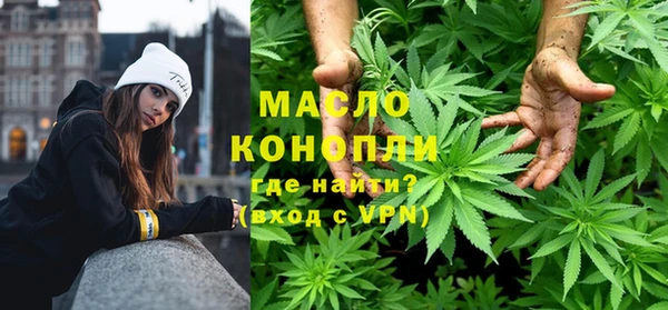 индика Костерёво