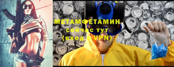 индика Костерёво