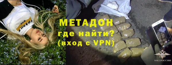 крисы Корсаков