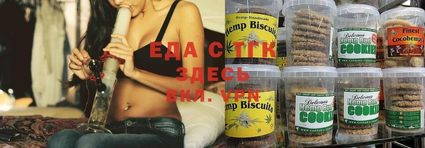 крисы Корсаков