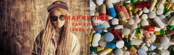 индика Костерёво