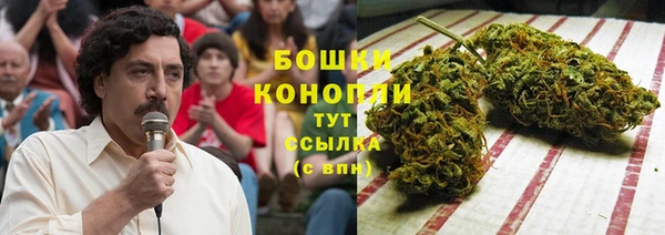 крисы Корсаков