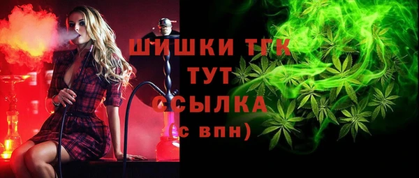 индика Костерёво