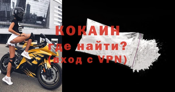 крисы Корсаков
