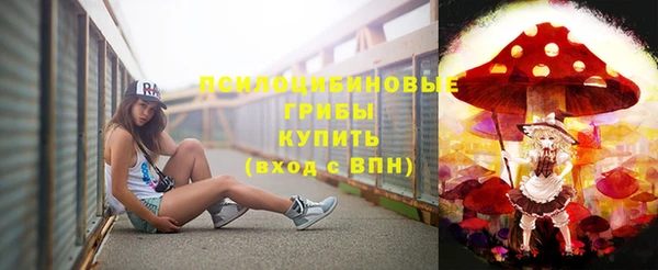 индика Костерёво