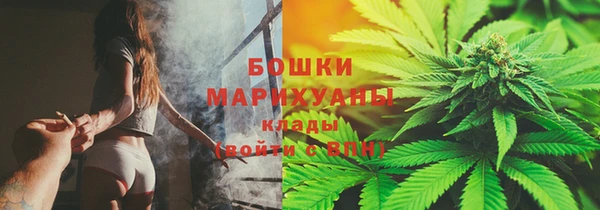 крисы Корсаков