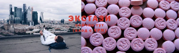 индика Костерёво