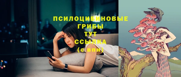индика Костерёво